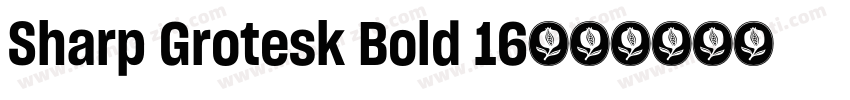 Sharp Grotesk Bold 16字体转换
